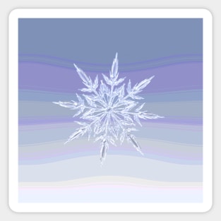 Snowflake Sticker